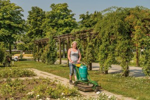 67_Rosarium_Baden_2924