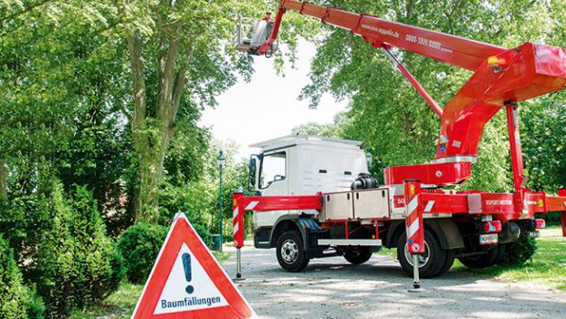 Schwierige Baumabtragungen sind unter Einsatz von Kran und Arbeitsbühne kein Problem.