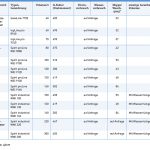 Schulthess WM19