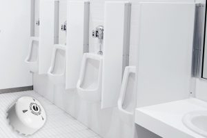 hollu-ecobug_Toilette